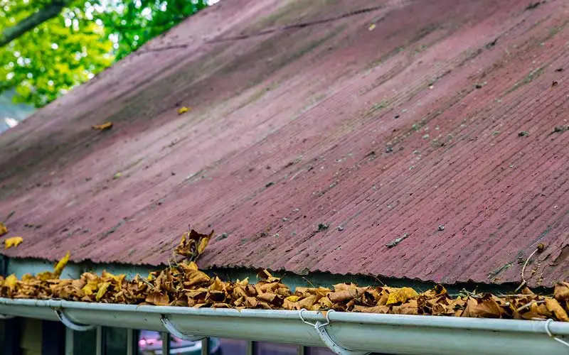 gutters filled with leaves